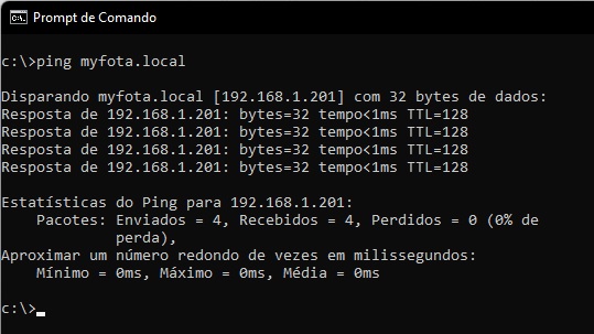 ping_local_url.jpg